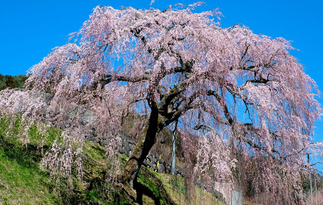 鈴木建築